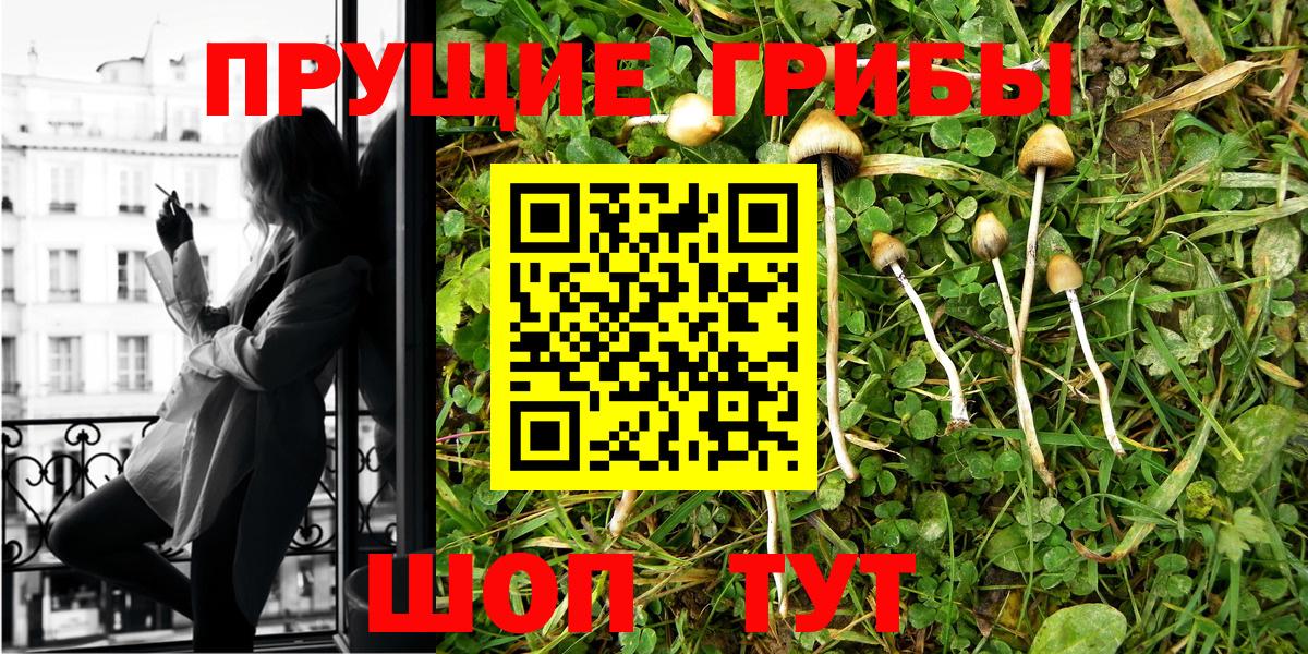 Вязники  Галлюциногенные грибы Psilocybine cubensis  Вход с VPN 